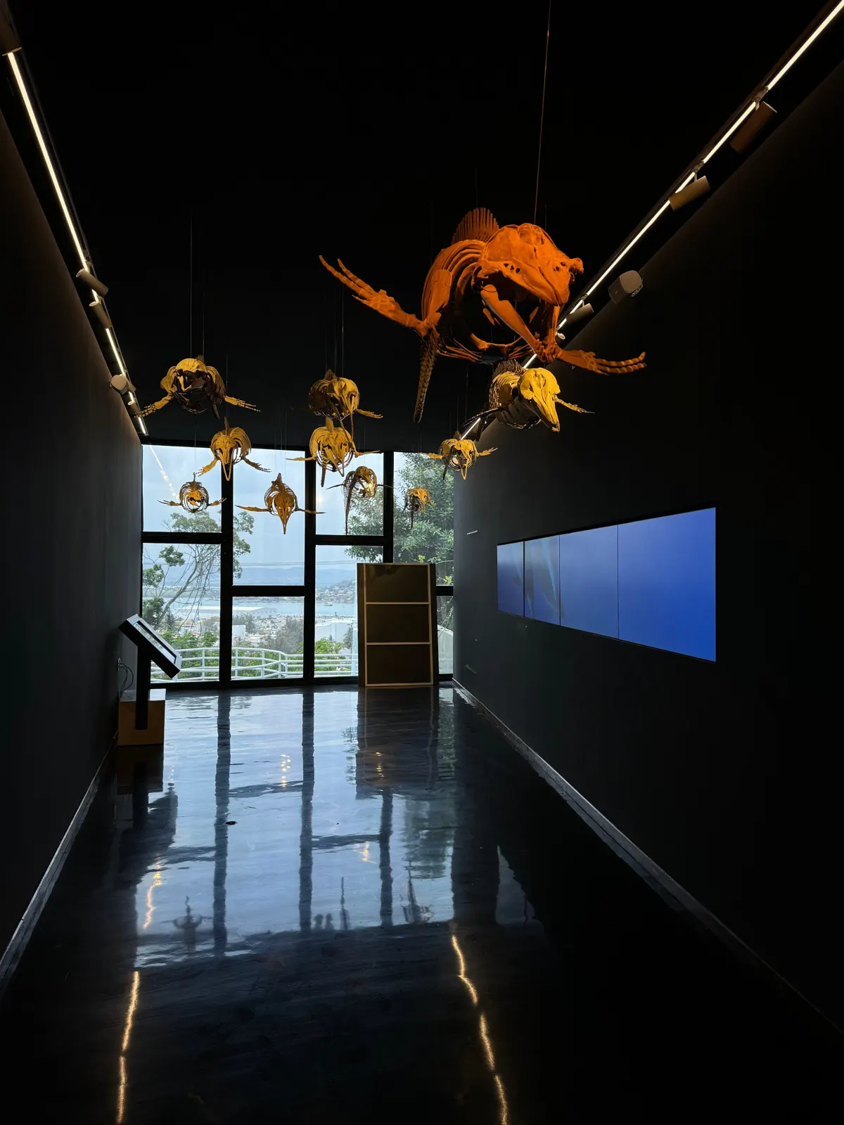 MUNBA — Cetaceum Museum of Latin America, image 14