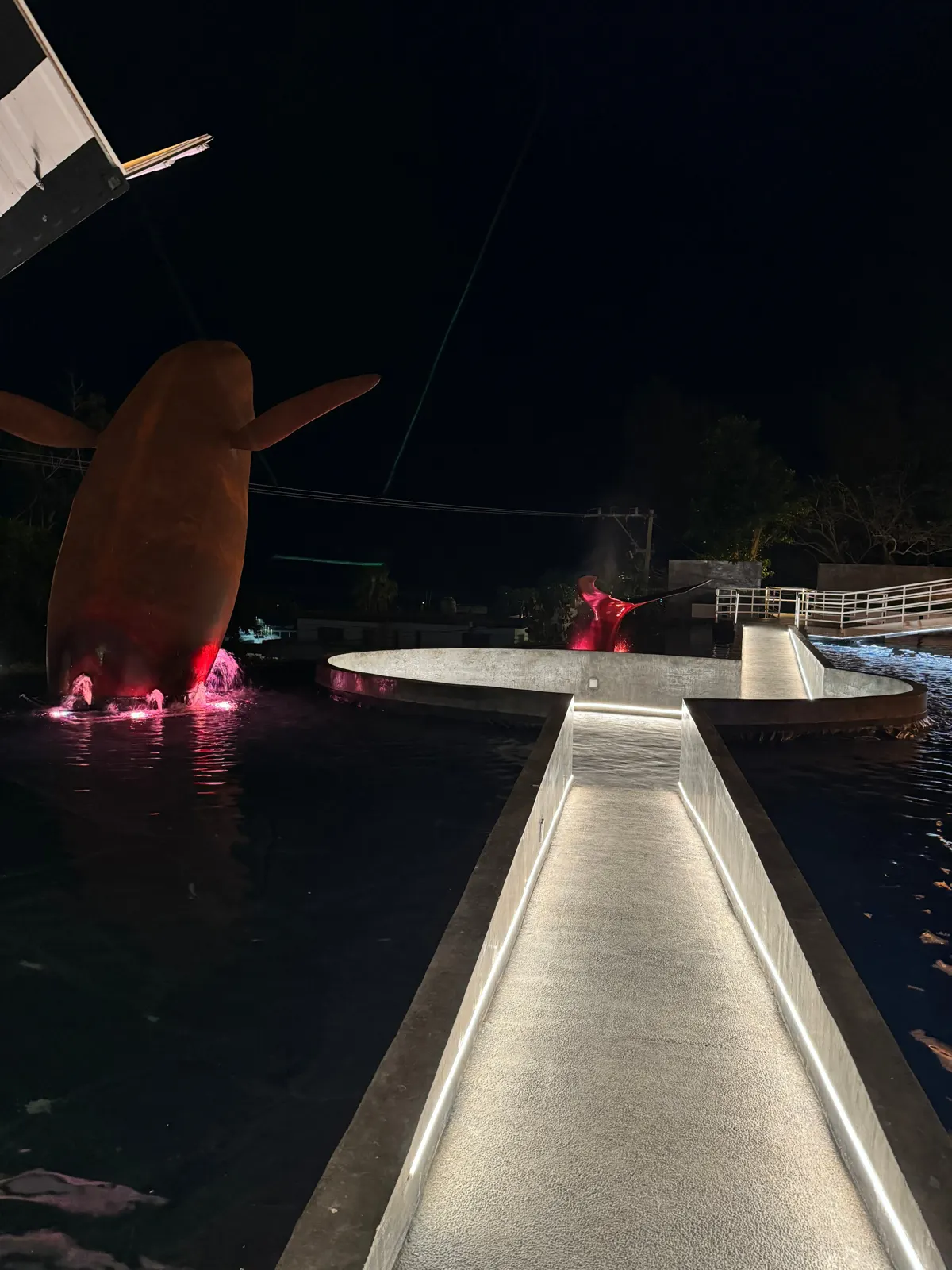 MUNBA — Cetaceum Museum of Latin America, image 16