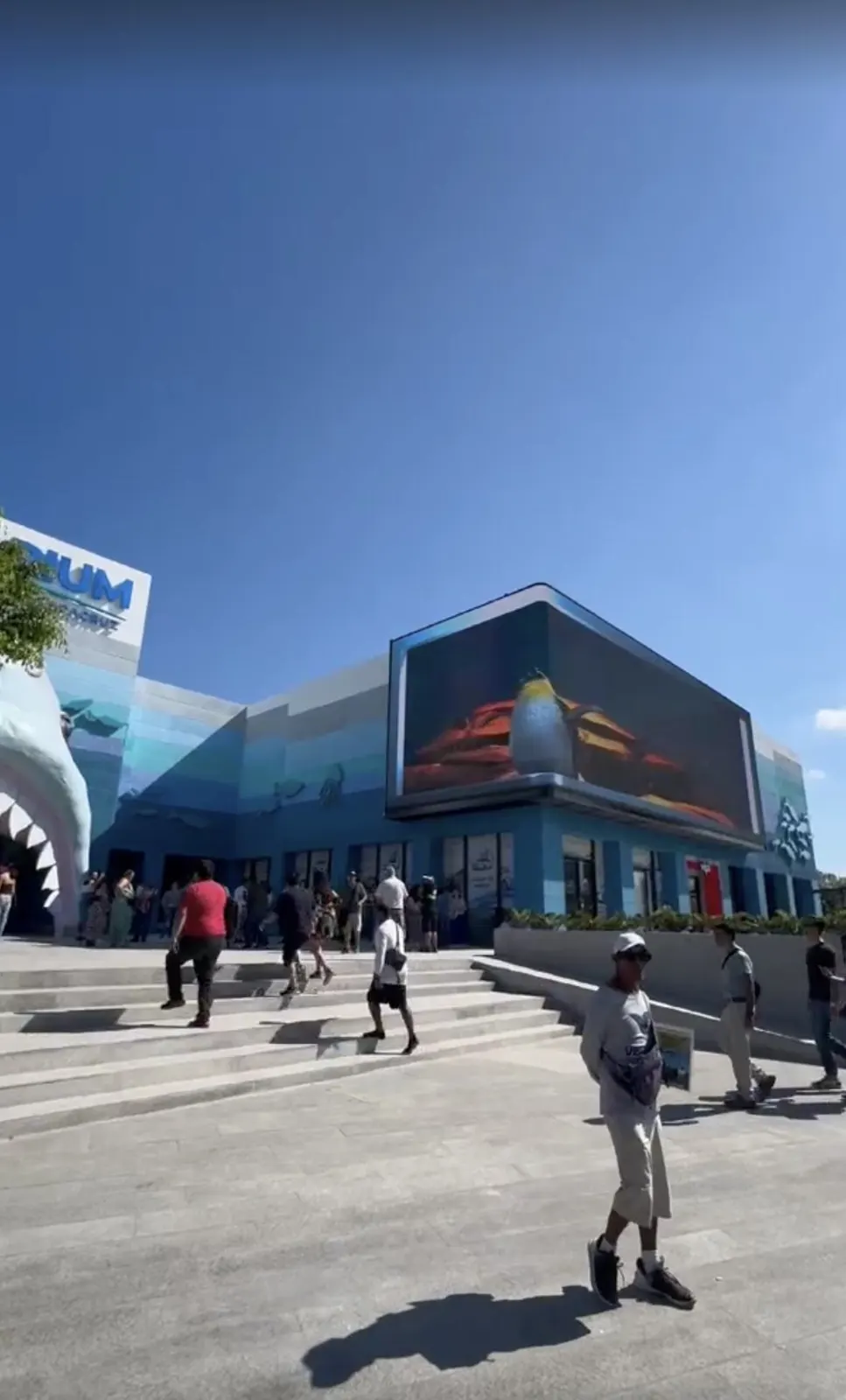Aquarium of Veracruz — Anamorphic LED attraction, image 4