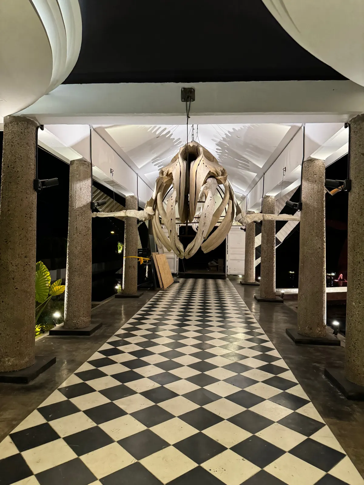 MUNBA — Cetaceum Museum of Latin America, image 18
