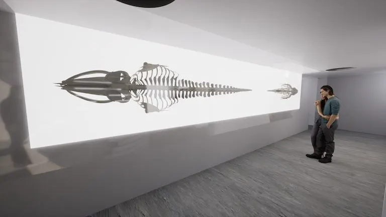MUNBA — Cetaceum Museum of Latin America, image 11