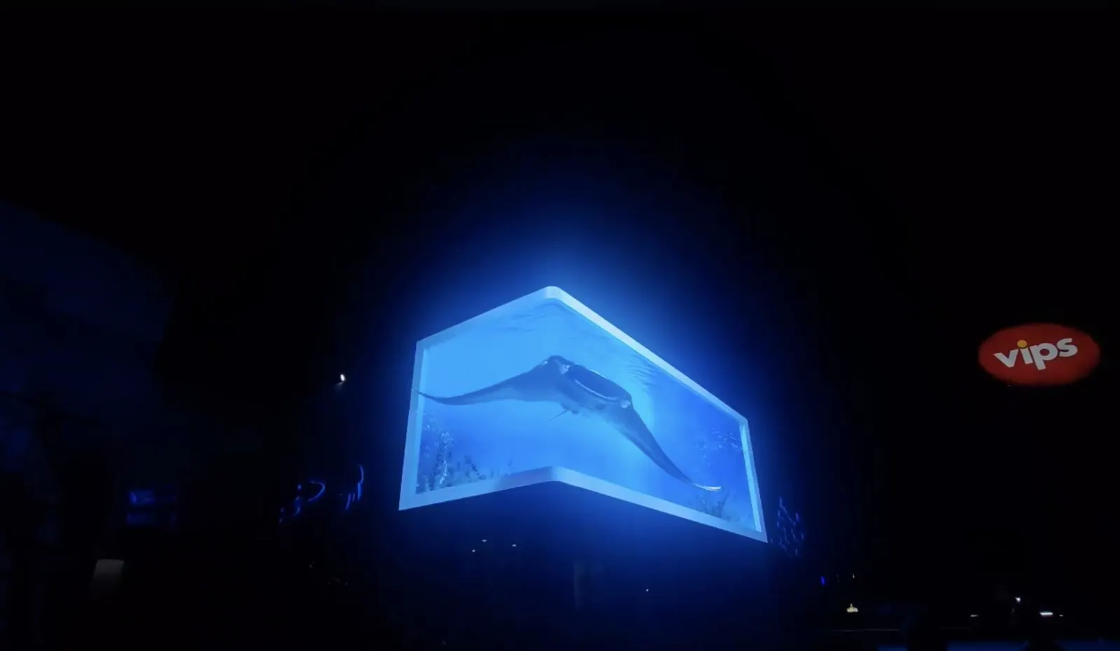 Aquarium of Veracruz — Anamorphic LED attraction, image 1