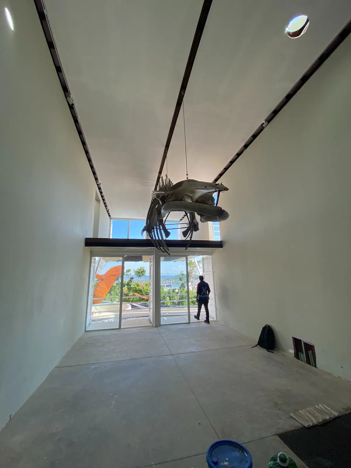 MUNBA — Cetaceum Museum of Latin America, image 8