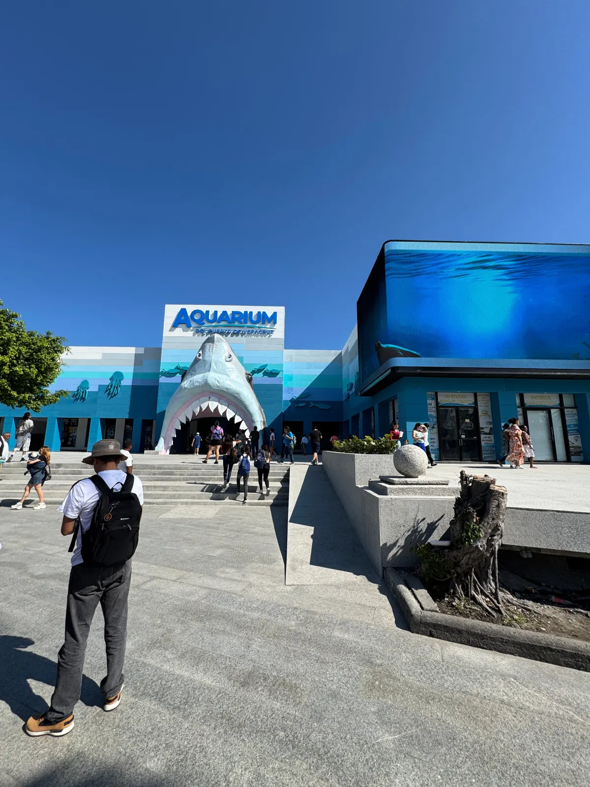 Aquarium of Veracruz — Anamorphic LED attraction, image 5