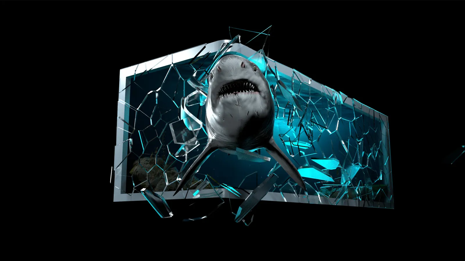 Aquarium of Veracruz — Anamorphic LED attraction, image 2