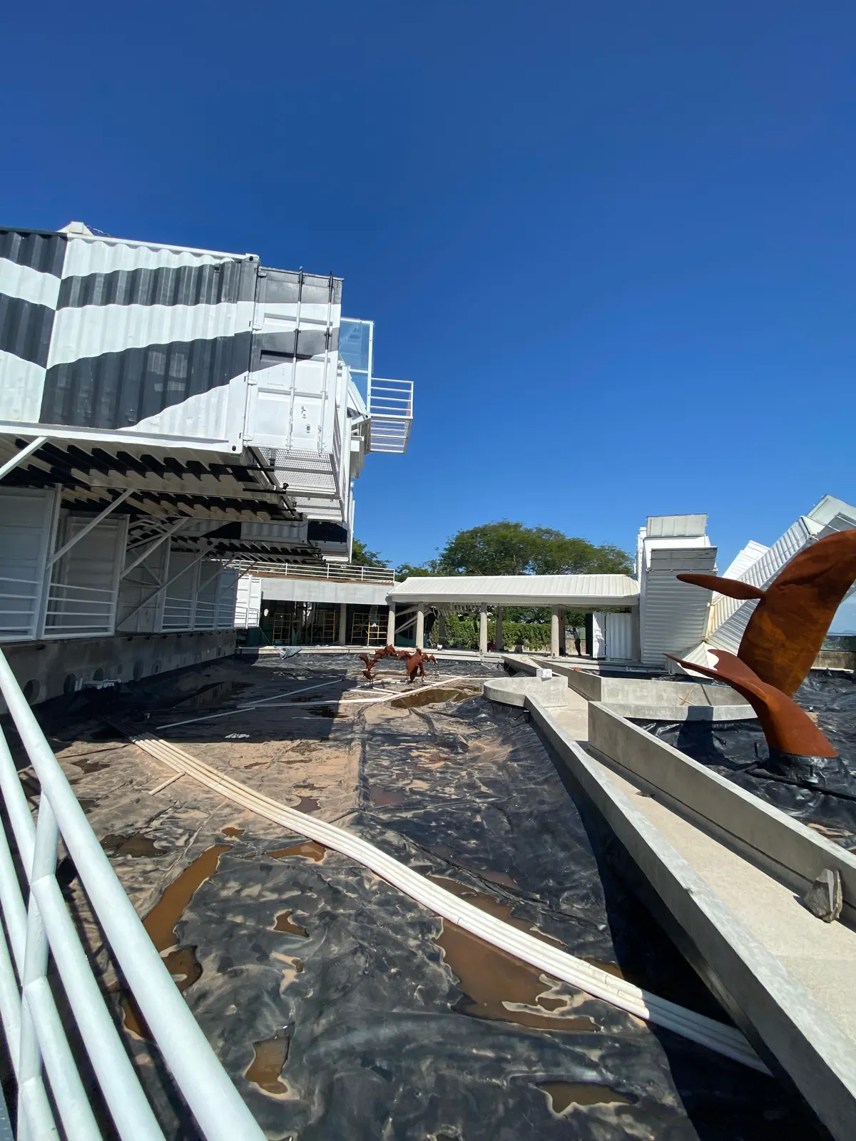 MUNBA — Cetaceum Museum of Latin America, image 6