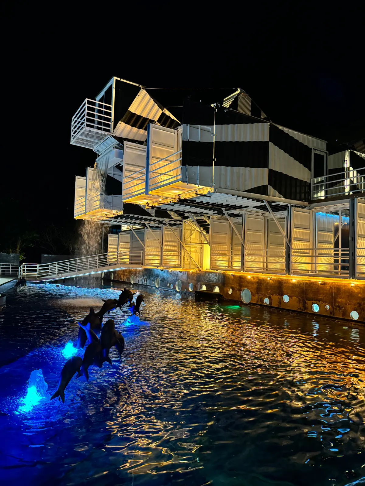 MUNBA — Cetaceum Museum of Latin America, image 15