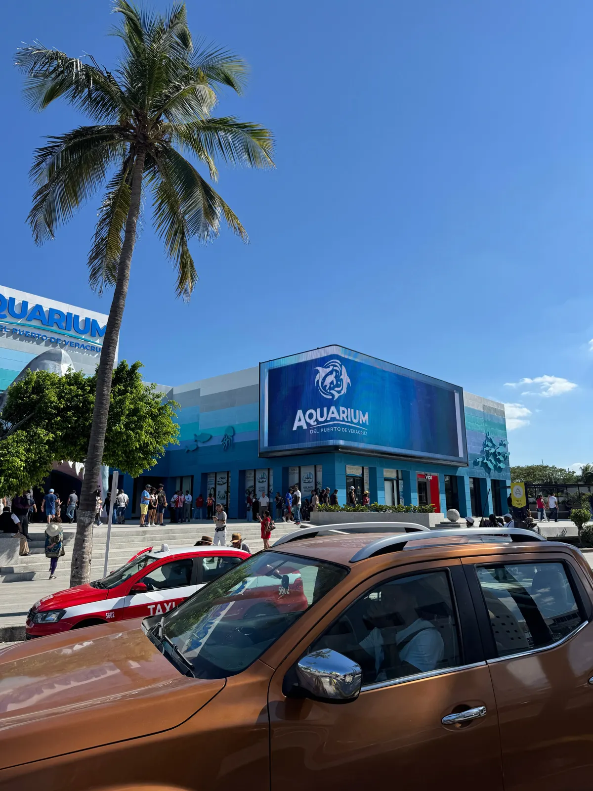 Aquarium of Veracruz — Anamorphic LED attraction, image 6