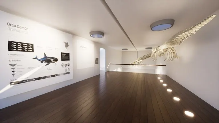 MUNBA — Cetaceum Museum of Latin America, image 12